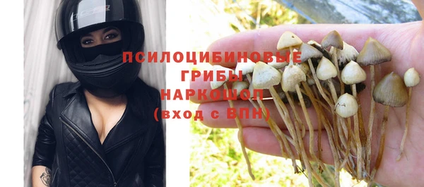 дмт Магас
