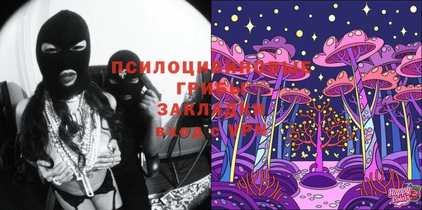 дмт Магас