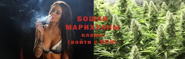 дмт Магас